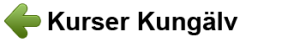 kurserkungalv
